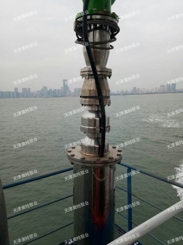 船用/海洋平臺耐腐蝕潛水泵